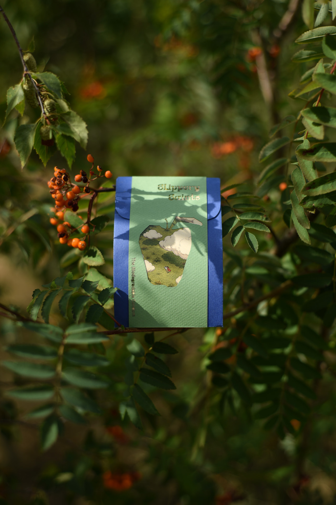 Slippery Saints pack nestled in a berry tree